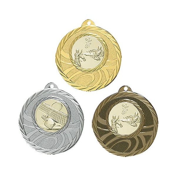 Médaille bronze : récompense sportive - Les Sables Noirs